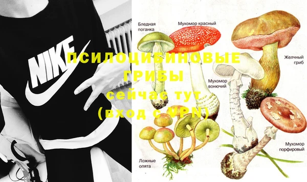 гидропоника Алзамай